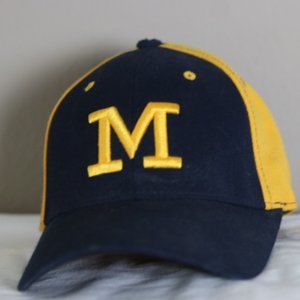 Michigan Pinwheel Fitted Hat